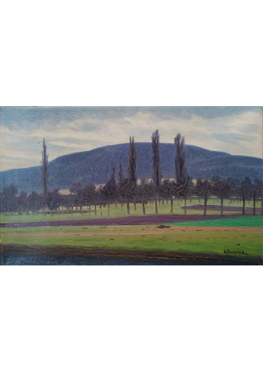 Bohuslav Dvořák (Czech, 1867-1951)